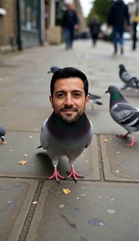A pigeon with a bearded man's head stands on a city pavement and looks at the camera, ordinary pigeons behind it