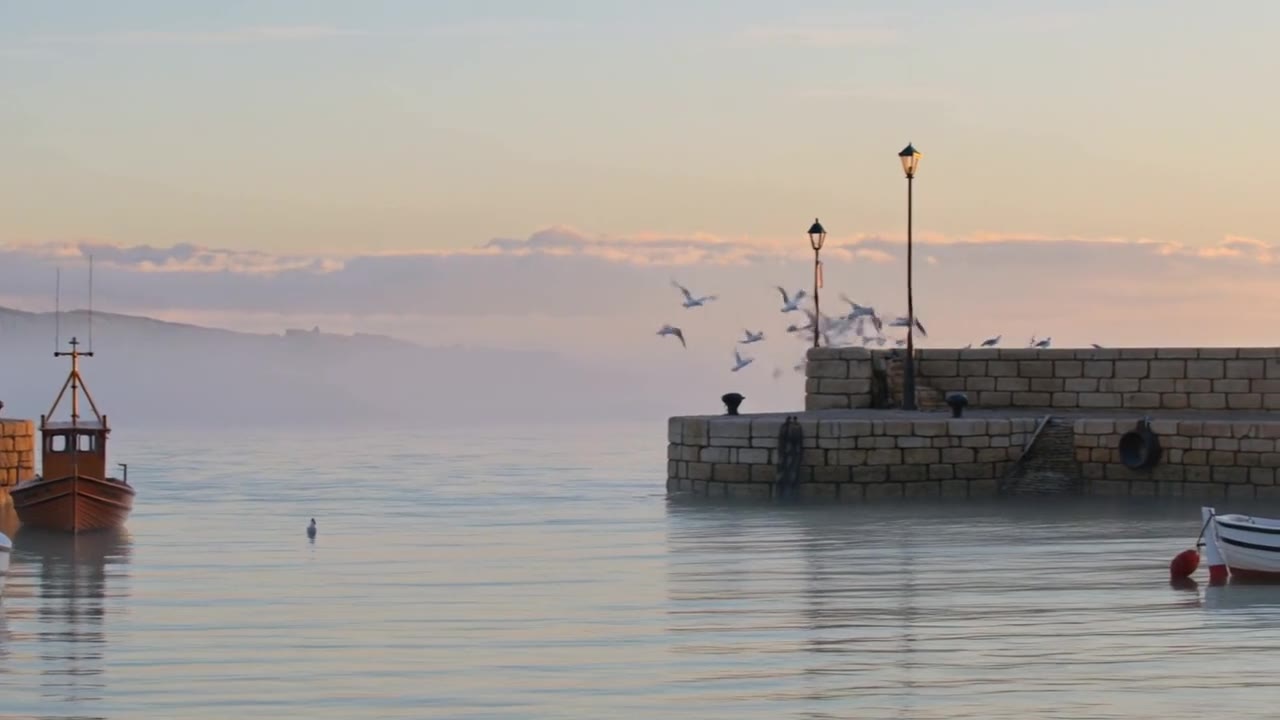 Seagulls flying off a stone pier in a small harbor at dawn